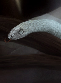 Deadly Beauty